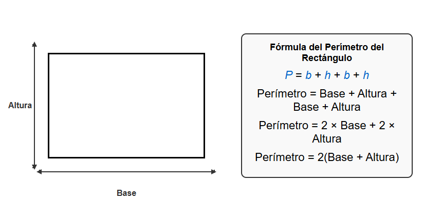 Perímetro del rectangulo